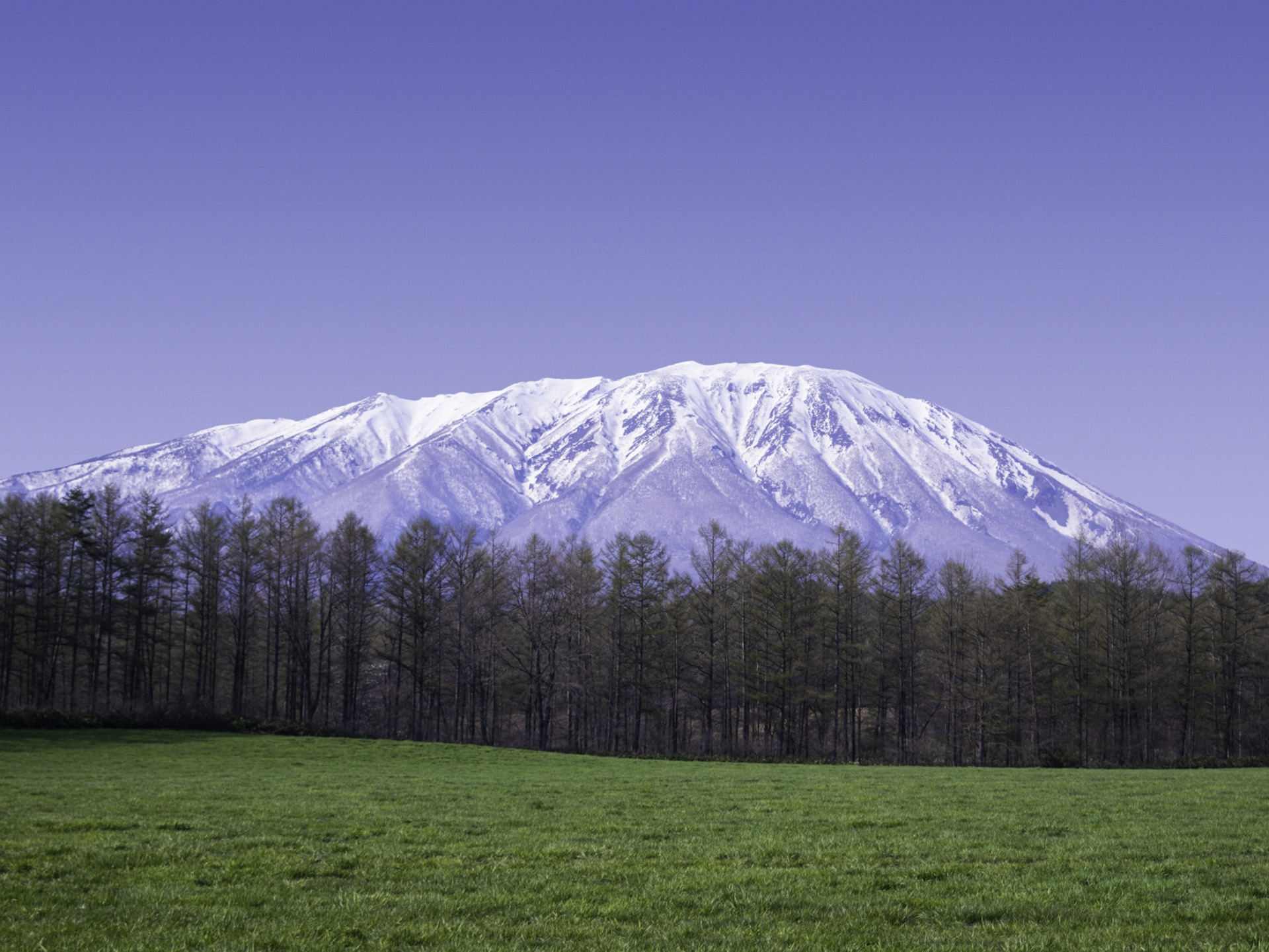Iwate