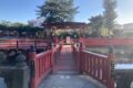 koinokijinja