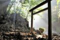 天岩戸神社