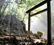 天岩戸神社