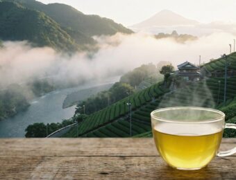 honyamacha-ryogochicha